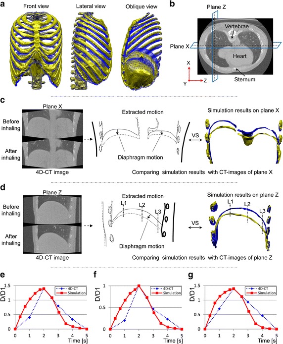 Fig. 8