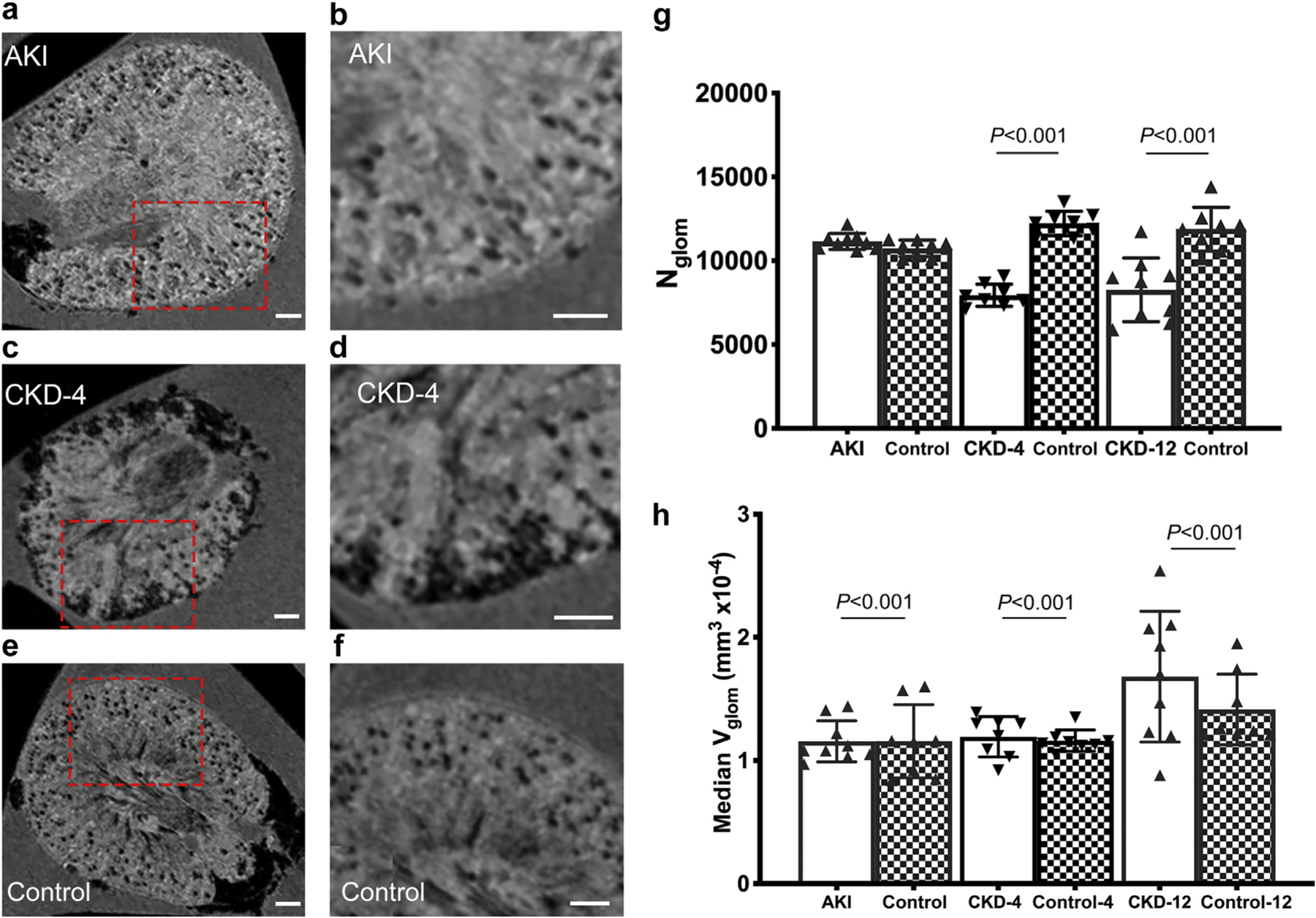 Figure 2 |