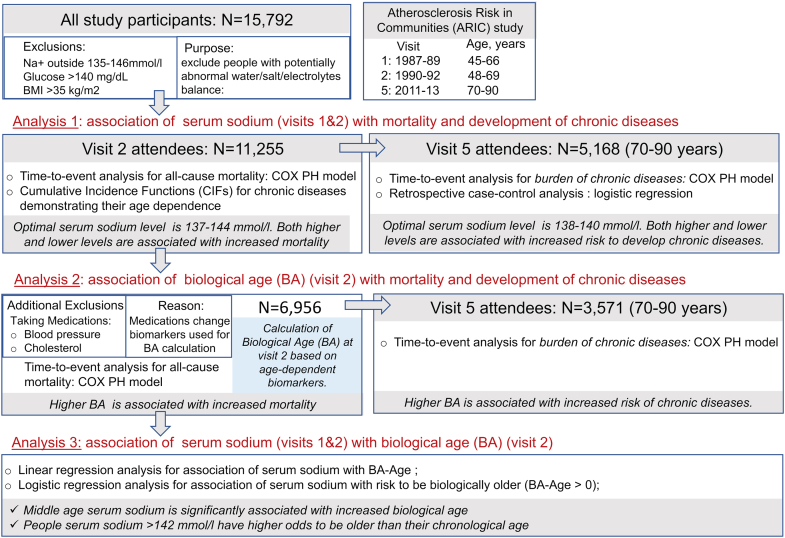 Fig. S1