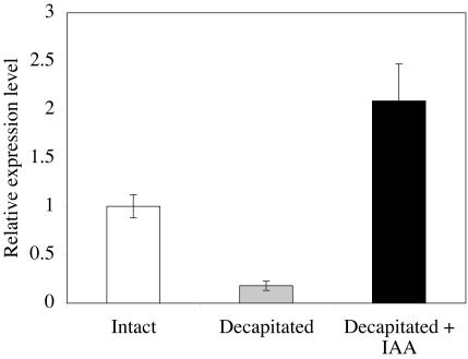 Figure 7.