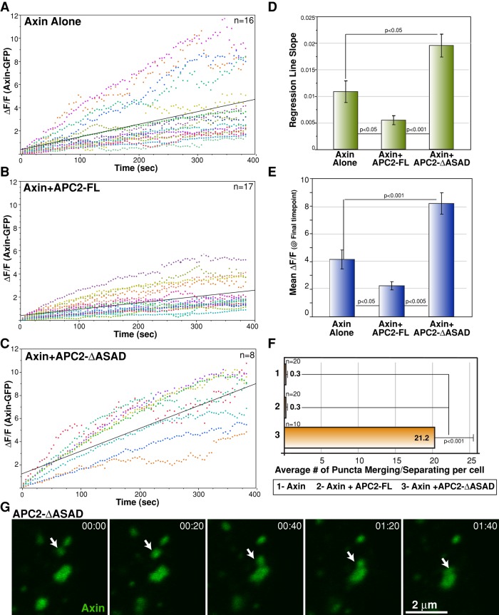 FIGURE 5: