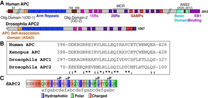 FIGURE 1: