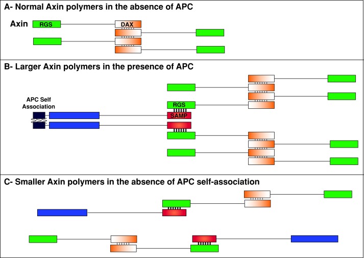 FIGURE 7: