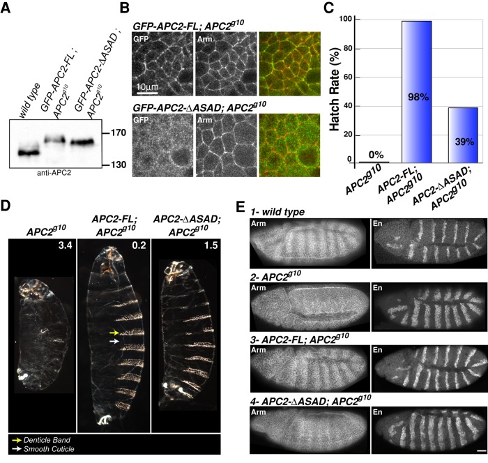 FIGURE 6: