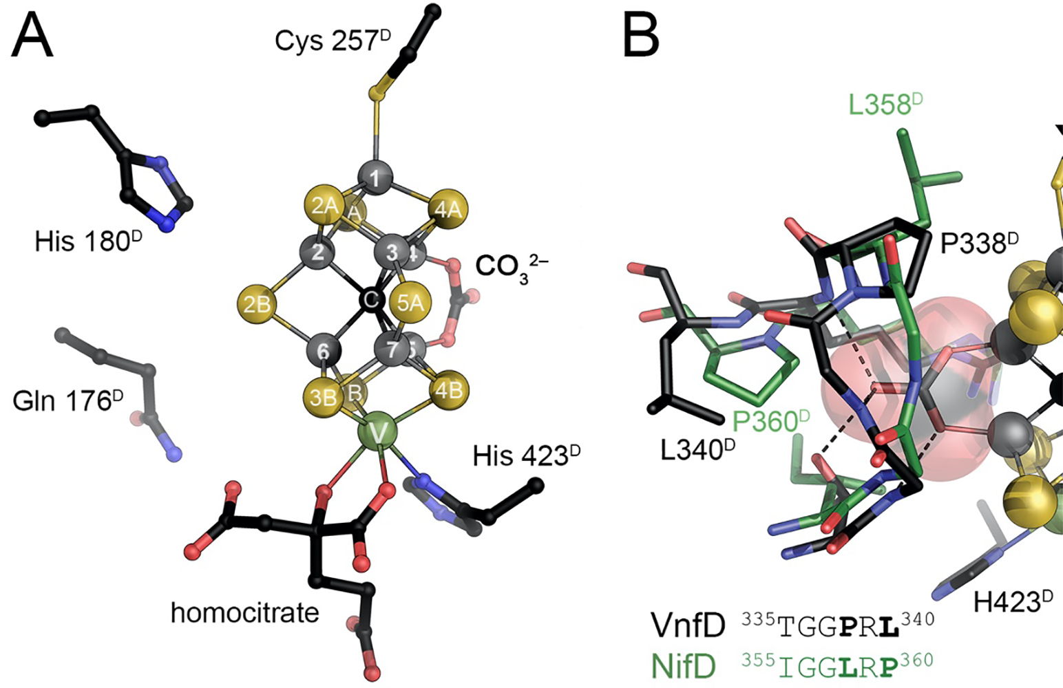 Figure 14: