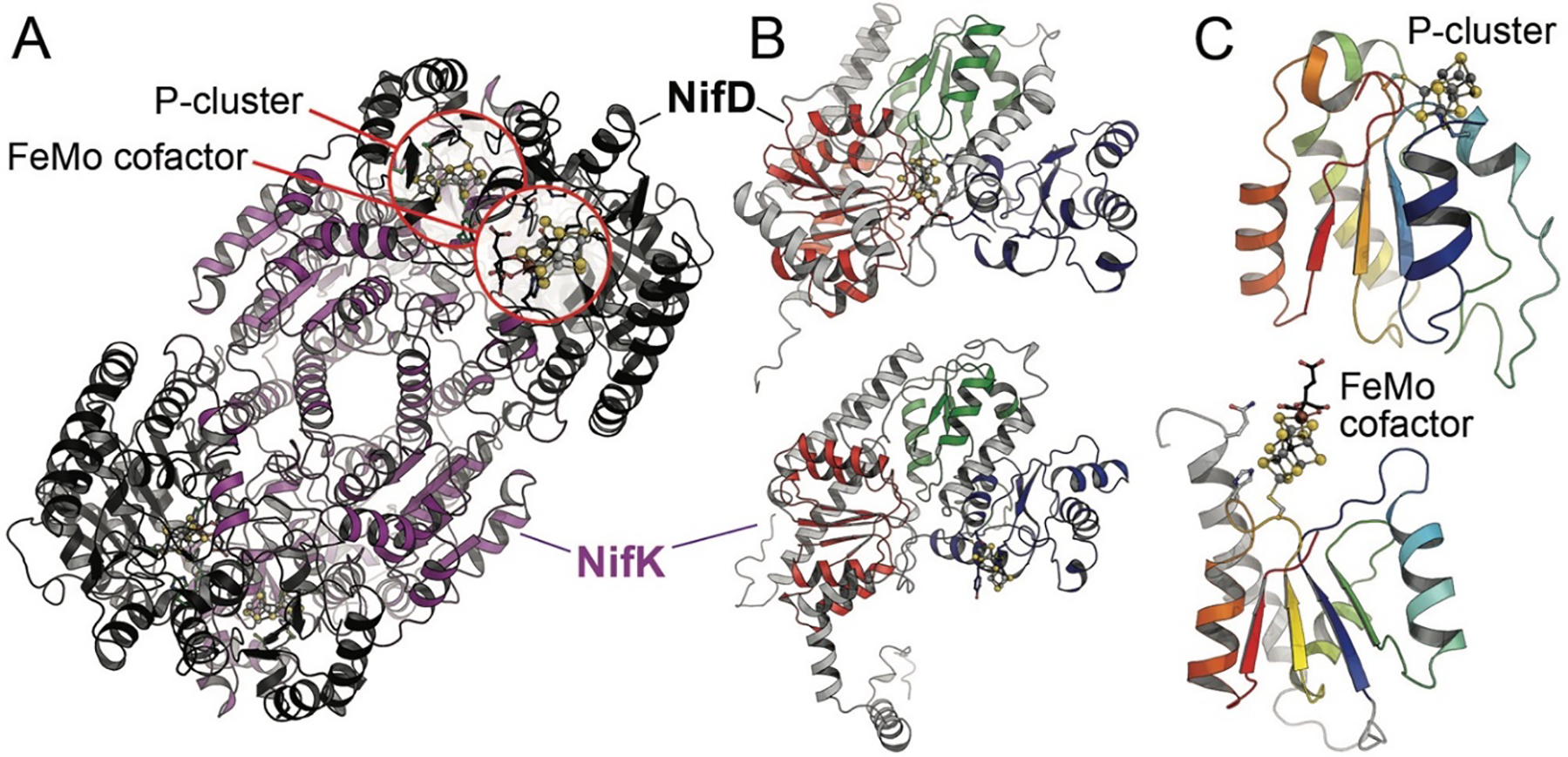 Figure 3: