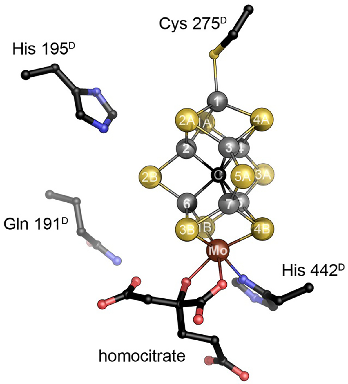 Figure 6: