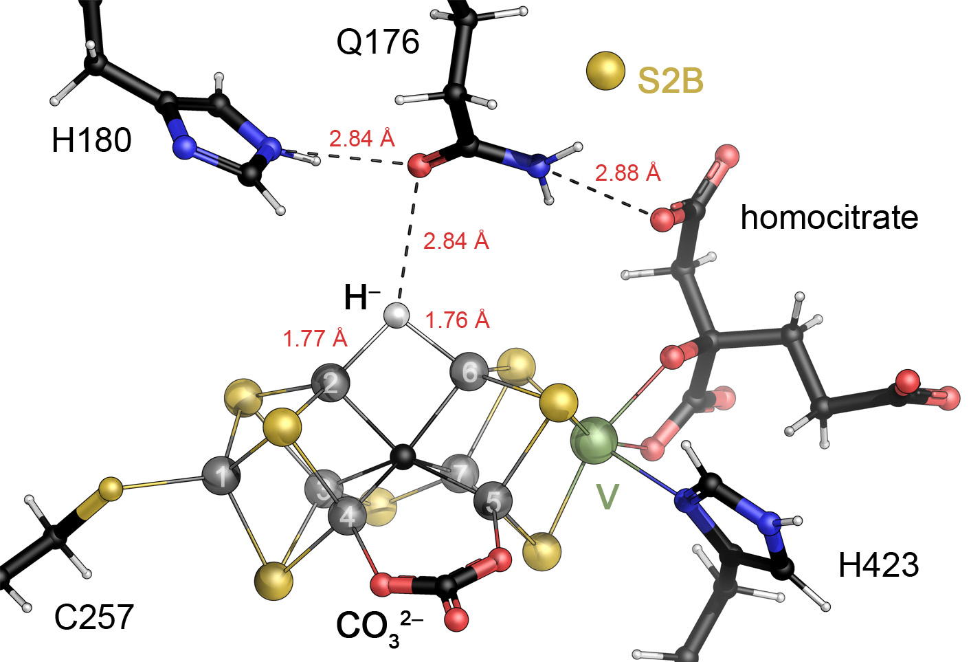 Figure 19: