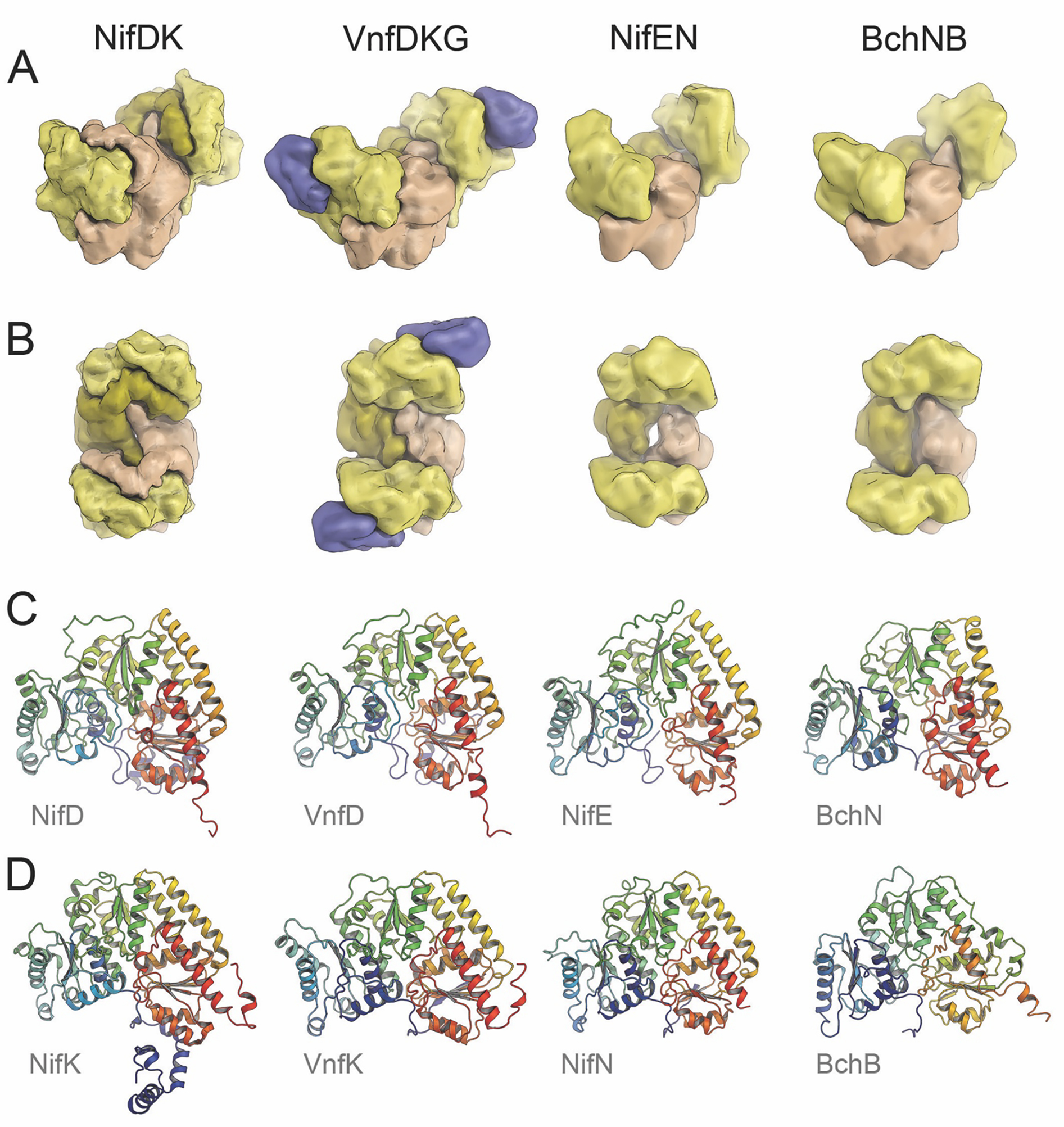 Figure 4: