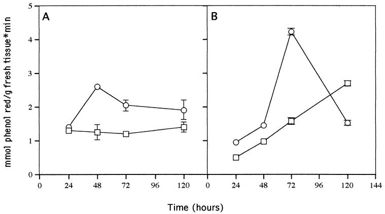 FIG. 6