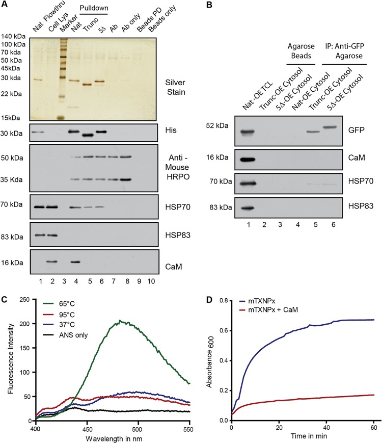 Fig 6