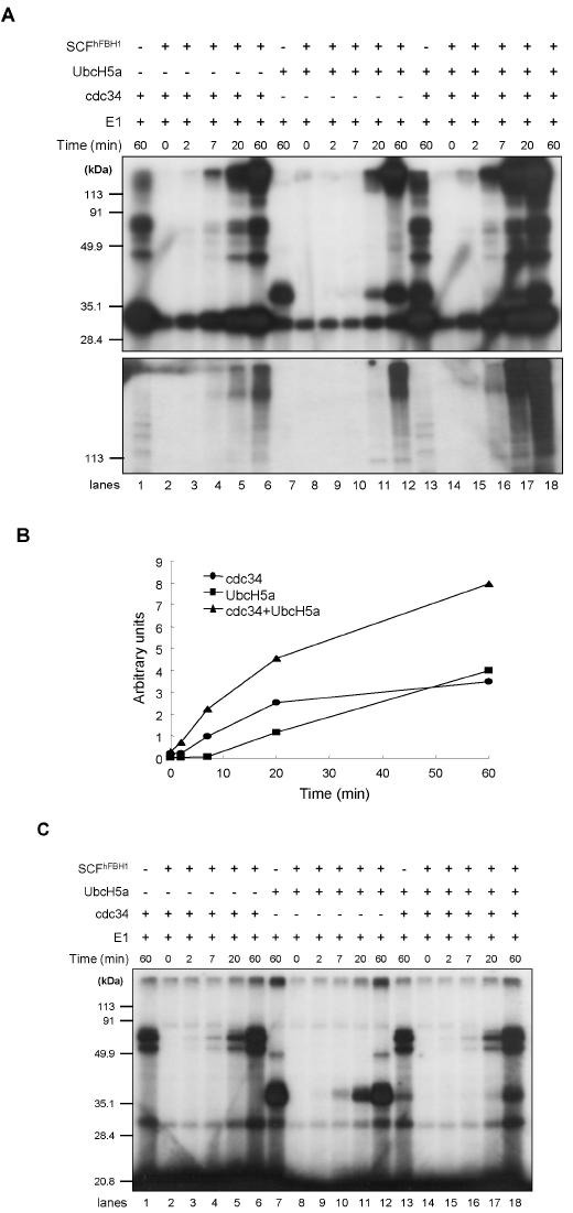 Fig. 4.