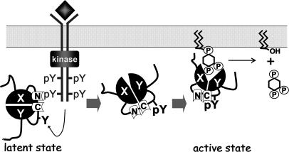 Fig. 5.