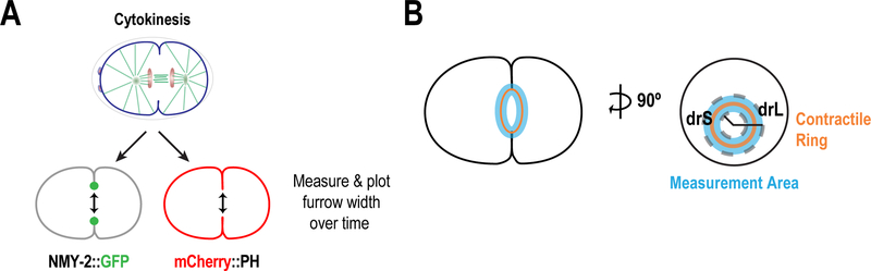 Figure 12.