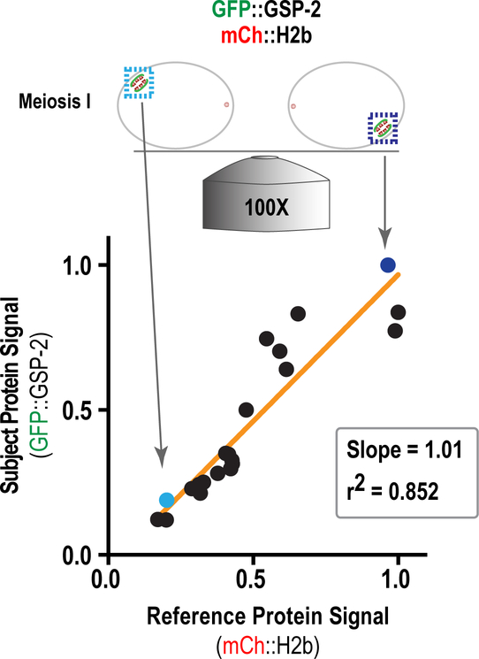 Figure 11.