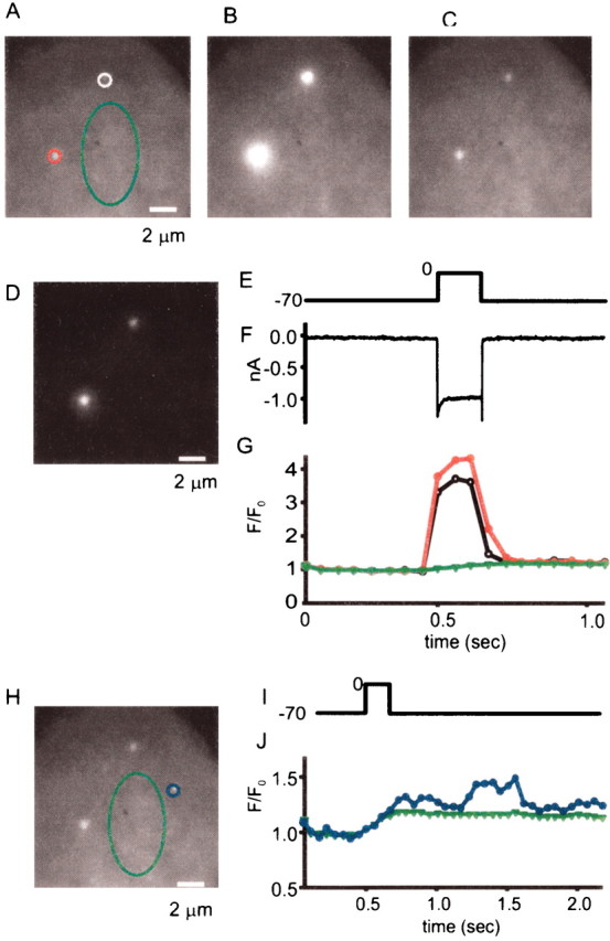 Fig. 8.