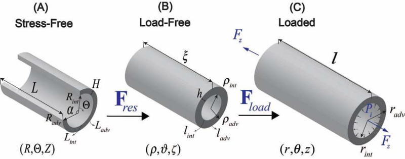 Figure 1: