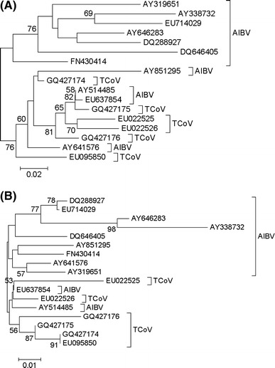 Fig. 4