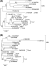 Fig. 4