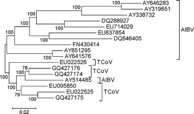 Fig. 2