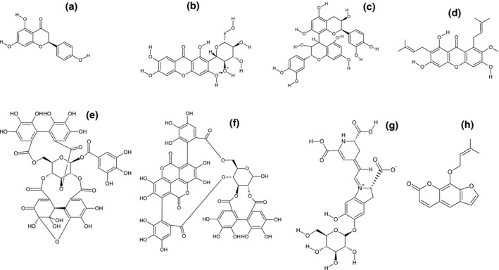 FIGURE 1