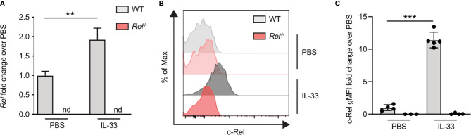 Figure 5