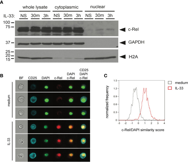 Figure 4