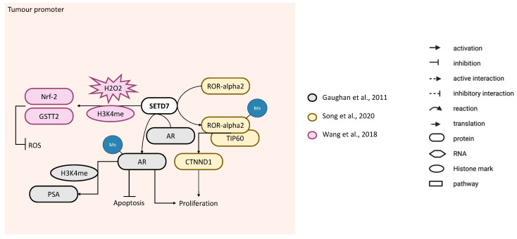 Figure 7