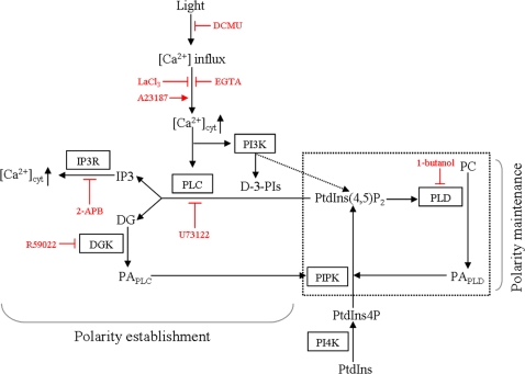 Fig. 6.