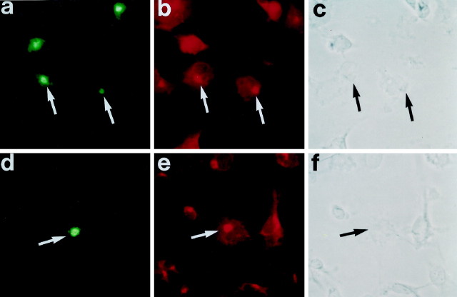 Fig. 9.