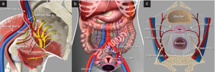 Figure 9