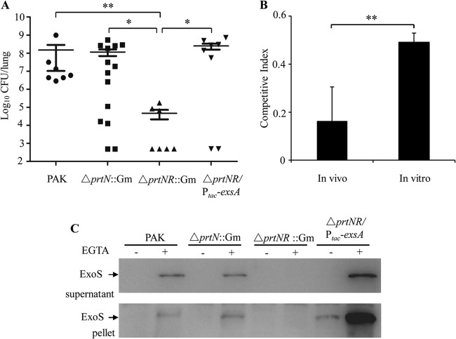 FIG 1