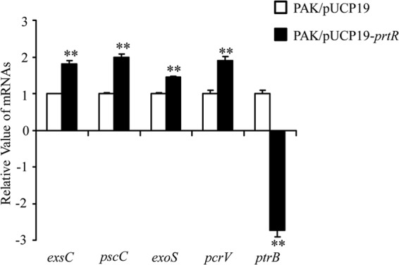 FIG 6