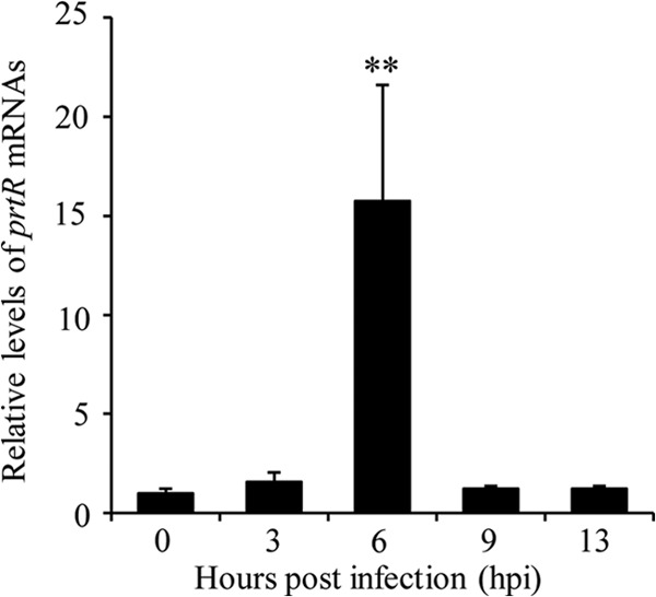 FIG 2