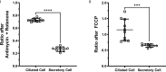 Figure 2—figure supplement 1.