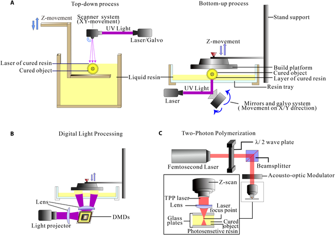 Fig. 2.