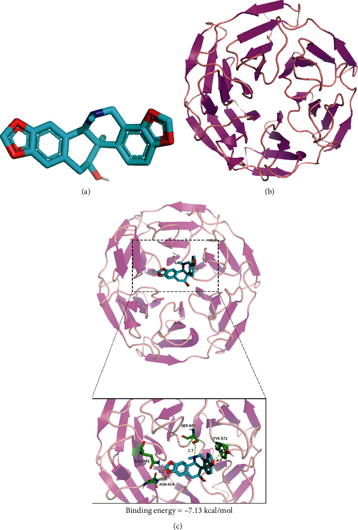 Figure 5