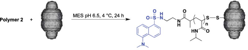 Scheme 3