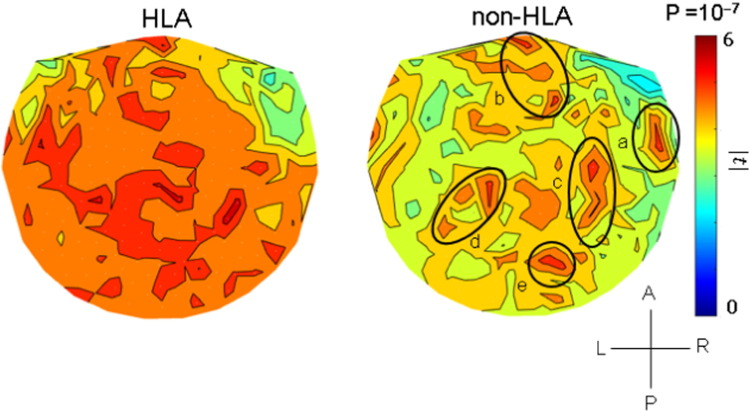 Fig. 5