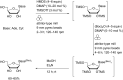 Scheme 4