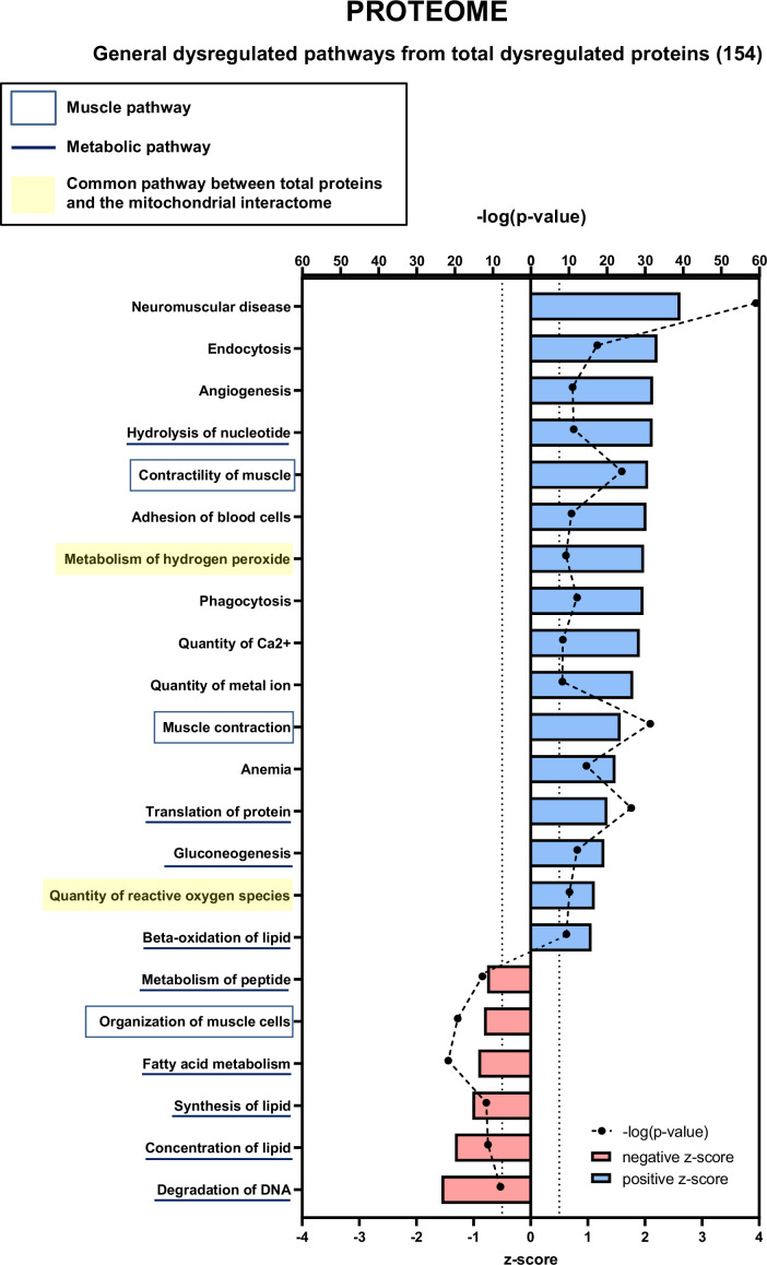 Figure 7—figure supplement 2.