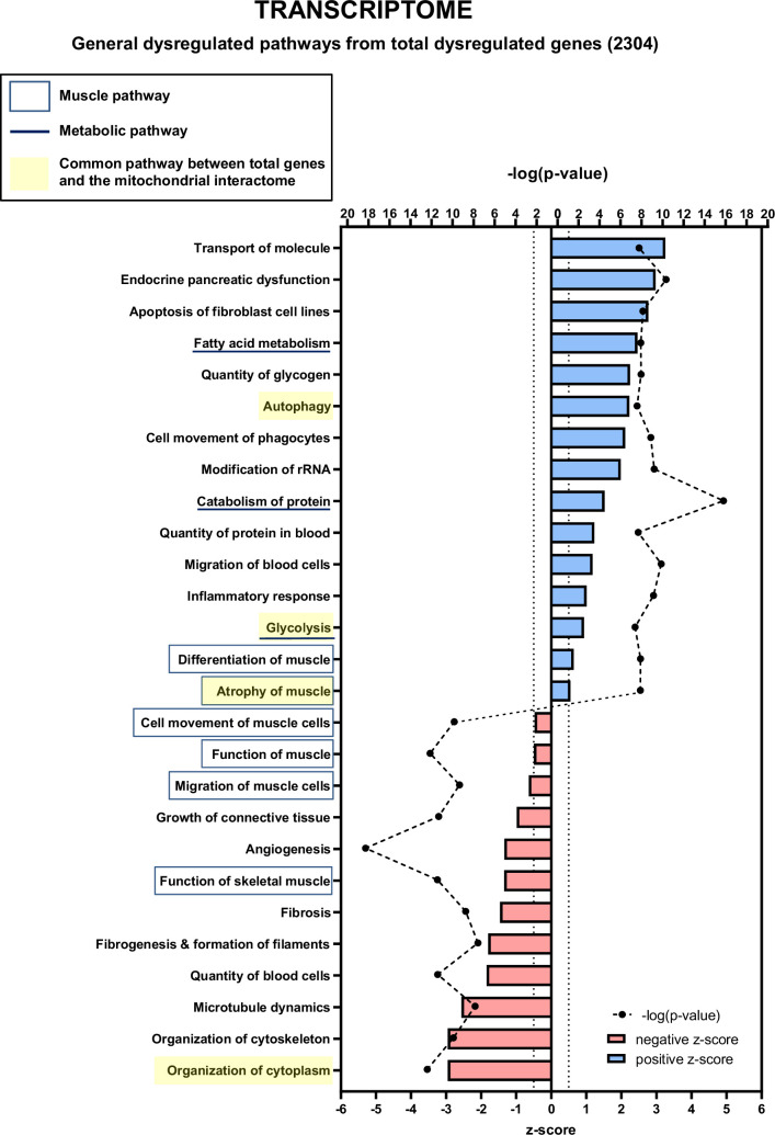 Figure 6—figure supplement 2.