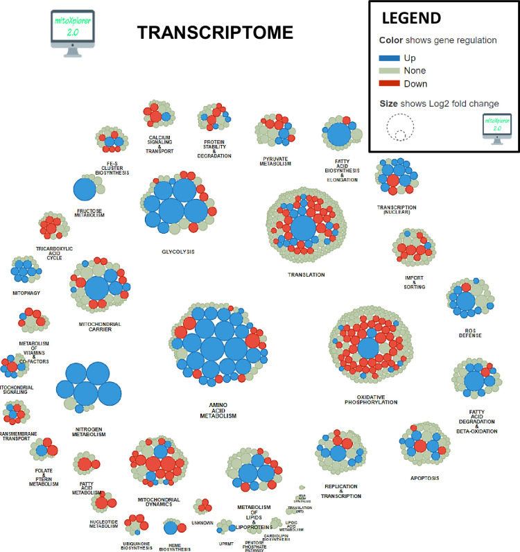 Figure 6—figure supplement 3.