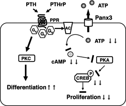 FIGURE 9.