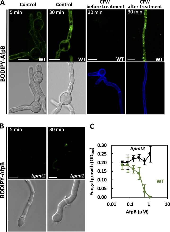 FIG 4