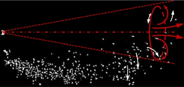 Fig. 13