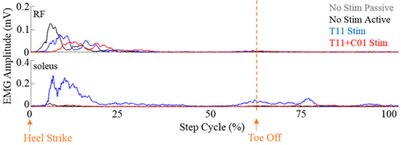 Figure 1: