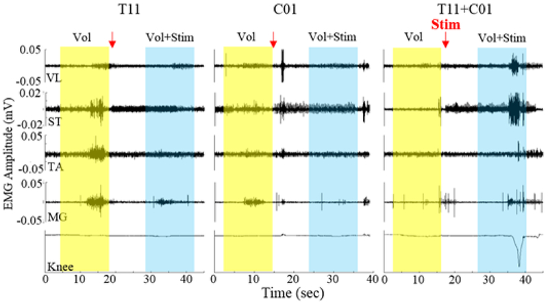 Figure 3: