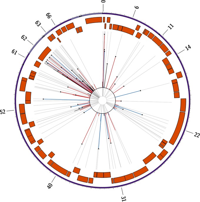 FIG 3