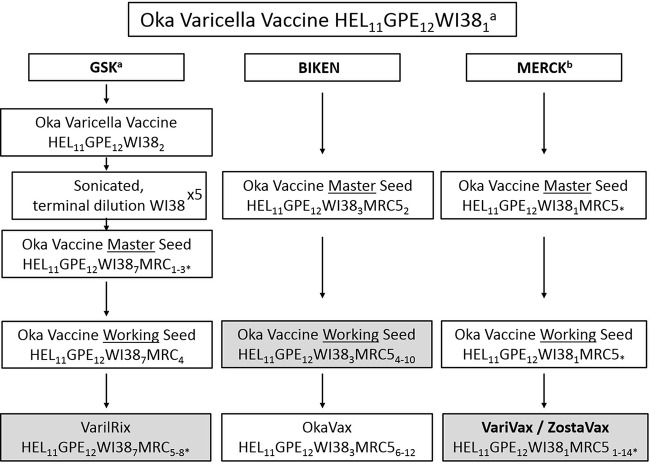 FIG 1